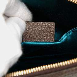 مملوكة مسبقًا Gucci Brown Small GG Supreme Web Ophidia Dome Crossbody