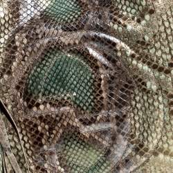 Pre Owned Gucci  Multicolor Python Leather Medium Shoulder Bag