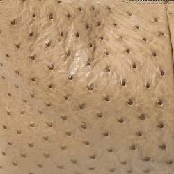 Pre Owned Gucci Beige/Dark Brown Ostrich Horsebit Hobo