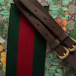 Pre Owned Gucci Multicolor Tian GG Supreme Canvas and Leather Messenger Bag