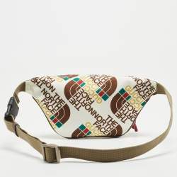 Pre Owned Gucci x The North Face Multicolor Printed Nylon Belt Bag