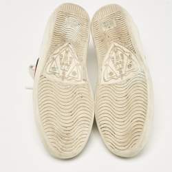 Gucci White Leather Ace Web Low Top Sneakers Size 36.5