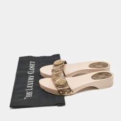 Gucci Brown GG Canvas Hysteria Slide Sandals Size 36