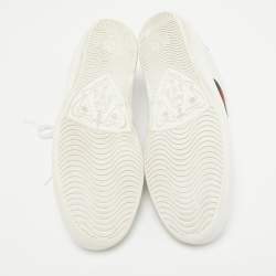 Gucci White Leather Web Ace Sneakers Size 39.5
