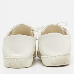 Gucci White Leather Star and Bee Embroidered Ace Sneakers Size 36