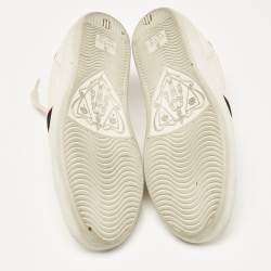 Gucci Cream Leather Logo Band Ace Sneakers Size 36