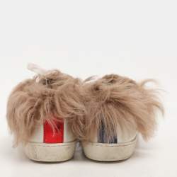 Gucci White Leather Fur Lined Bee Embroidered Web Ace Low Top Sneakers Size 37.5