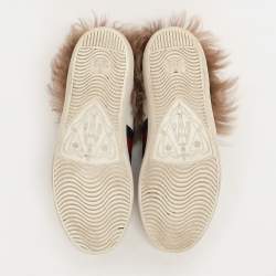 Gucci White Leather Fur Lined Bee Embroidered Web Ace Low Top Sneakers Size 37.5