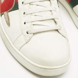 مملوكة مسبقًا حذاء رياضي غوتشي مزين ويب جلد أبيض منخفض من أعلى مقاس 41