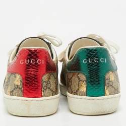 Gucci Brown Canvas And Embossed Python Leather Ace Web Sneakers Size 38
