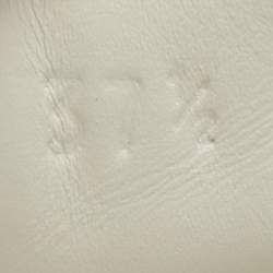 Pre Owned حذاء رياضي غوتشي رباط برباط ويب جلد أسود ونقش جلد التمساح مقاس 38