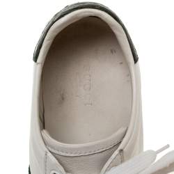 مملوكة مسبقًا Gucci White Leather Ace Low Top Sneakers Size 36.5