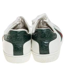 مملوكة مسبقًا حذاء ر ياضي غوتشي منخفض من أعلى ويب أيس جلد أبيض مقاس 37.5