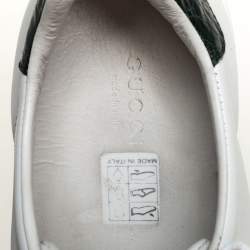 مملوكة مسبقًا حذاء رياضي غوتشي منخفض من أعلى ويب أيس جلد أبيض مقاس 37.5