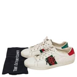 Pre Owned حذاء رياضي غوتشي جلد أبيض عنق منخفض مقاس 40.5