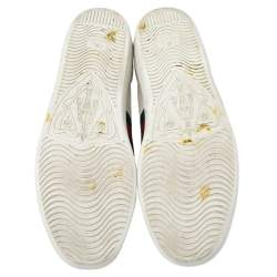 Pre Owned Gucci White Leather  Ace Web Faux Pearl Embellished Low Top Sneakers Size 39