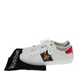 Pre Owned حذاء رياضي غوتشي ايس جلد أبيض مطرز نحلة منخفض من أعلى مقاس 37