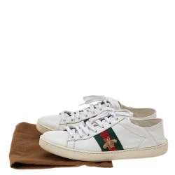 Pre Owned حذاء رياضي غوتشي أيس ويب جلد أبيض عنق منخفض مقاس 37.5