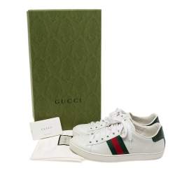 Pre Owned حذاء رياضي غوتشي أيس ويب جلد أبيض مقاس 37