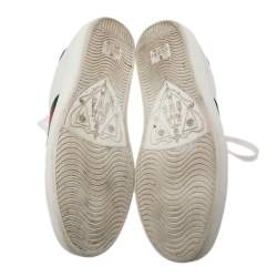 Pre Owned حذاء رياضي غوتشي أيس ويب جلد أبيض مقاس 37