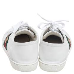 مملوكة مسبقًا Gucci White Leather Bee Web Ace Sneakers Size 37.5