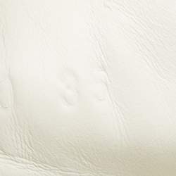 Pre Owned حذاء رياضي غوتشي أيس مطرز دعسوقة و أناناسة جلد أبيض مقاس 35