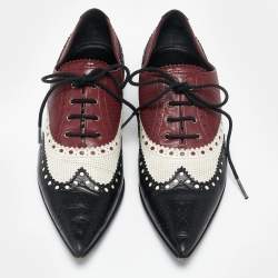 Gucci Multicolor Leather Pointed Toe Brogue Oxford Size 36 