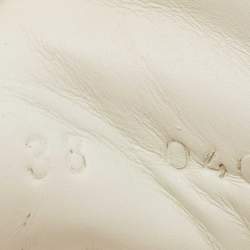 Pre Owned حذاء رياضي غوتشي أيس جلد نقشة ثعبان وجلد أبيض بشراشيب مقاس 38