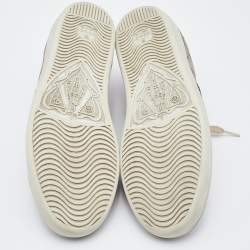 Gucci Beige/Brown GG Supreme Canvas Ace Web Sneakers Size 39