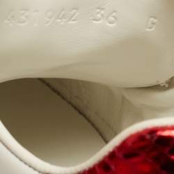 Gucci White Leather Web Ace Low Top Sneakers Size 36