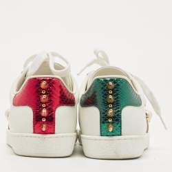 Gucci White Leather Web Ace Low Top Sneakers Size 34