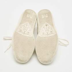 Gucci White Leather Ace Web Low Top Sneakers Size 36