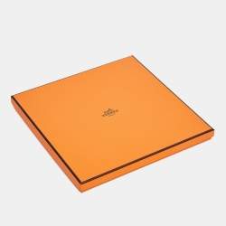 Hermès Green/Yellow Printed Silk La Berline Bayadere Scarf