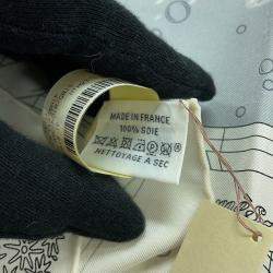 Pre Owned وشاح حرير هيرمس كارير هيرمس فلاجشيب مقاس تسعين أبيض/أسود/رمادي