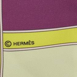 Pre Owned Hermès Multicolor Camails Silk Twilly Scarf