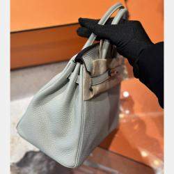 Hermes Ice Crystal Gray Togo Leather Birkin 25 