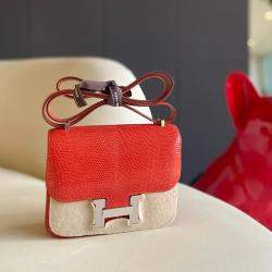 Hermes constance19 Lizard Leather bag