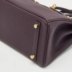 Pre Owned Hermès Raisin Togo Leather Gold Finish Birkin 25 Bag