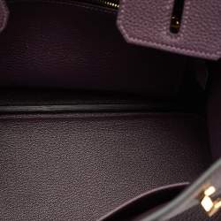 Pre Owned Hermès Raisin Togo Leather Gold Finish Birkin 25 Bag