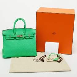 Pre Owned Hermès Vert Comic Togo Leather Palladium Finish Birkin 25 Bag