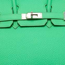 Pre Owned Hermès Vert Comic Togo Leather Palladium Finish Birkin 25 Bag
