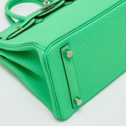 Pre Owned Hermès Vert Comic Togo Leather Palladium Finish Birkin 25 Bag