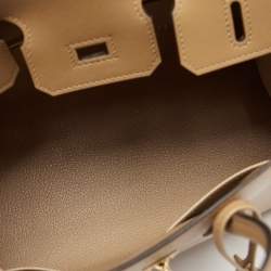 Pre Owned Hermes Chai Madame Leather Gold Finish Birkin Sellier 25 Bag