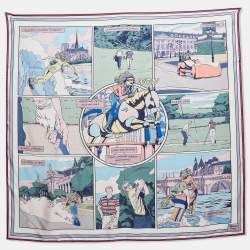 Pre Owned Hermès Blue/Pink Printed Silk Double Face BNIB Wow Scarf