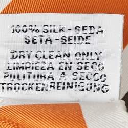 Hermés Anthracite/Ciel Silk Brides et Destin Scarf