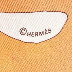 Hermes Orange Institut Pasteur Silk Scarf