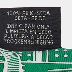 Hermes Green & Blue Printed Silk Twilly