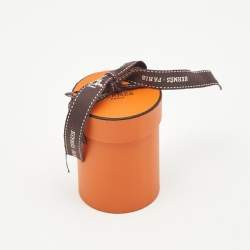 Pre Owned Hermès Marine /Vert Vif Silk In the Pocket Twilly