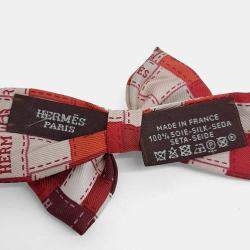 مملوكة مسبقًا Hermes ribbon scarf