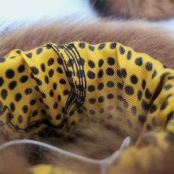 Pre Owned Hermès Fisher Fur Cuff
